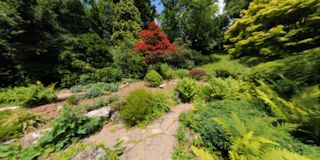 Rockery
